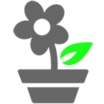 Office Plants Rental