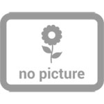 Miami Green Condominium 