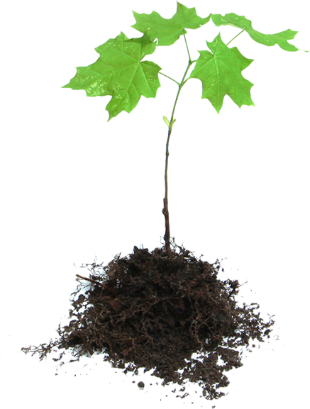 About Greenbay Landscape Penang